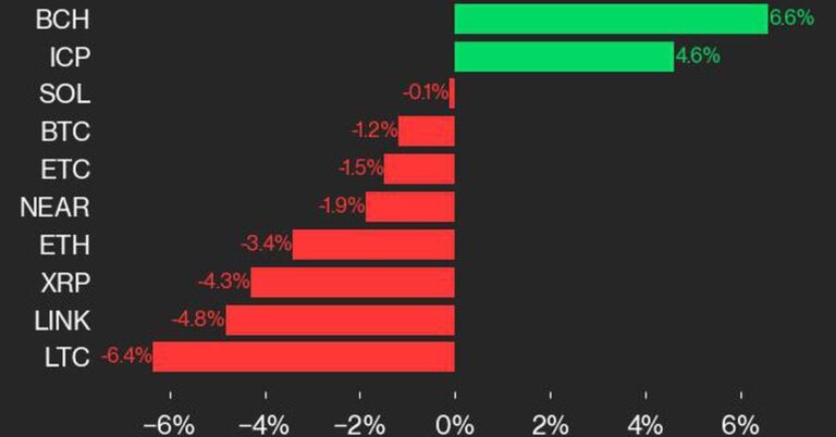 BCH Leads CoinDesk 20 Gainers